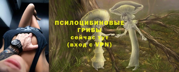 гашиш Белокуриха