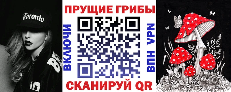 Галлюциногенные грибы Psilocybe  kraken зеркало  Вуктыл 
